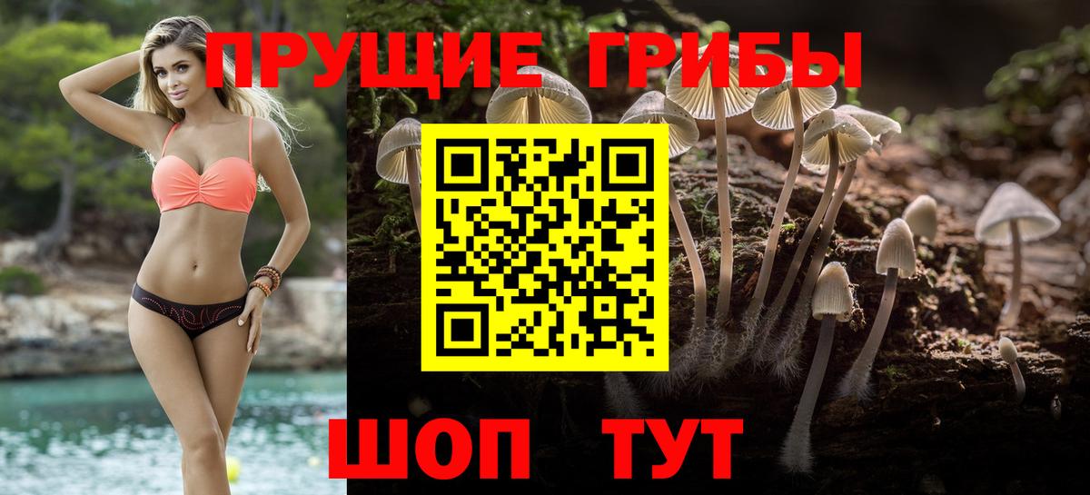 Галлюциногенные грибы Magic Shrooms  Вход с VPN  Салехард 
